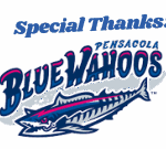 Blue Wahoos Stadium (1)